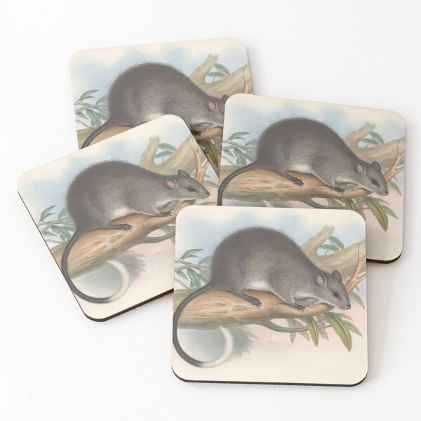 Item preview, Tree rat illustration Australian animals series designed and sold by Vintage Designs +.