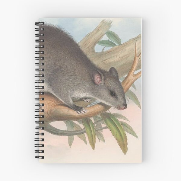 Item preview, Tree rat illustration Australian animals series designed and sold by Vintage Designs +.