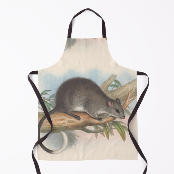 Item preview, Tree rat illustration Australian animals series designed and sold by Vintage Designs +.