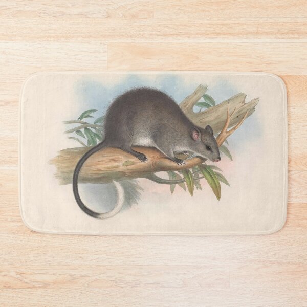 Item preview, Tree rat illustration Australian animals series designed and sold by Vintage Designs +.