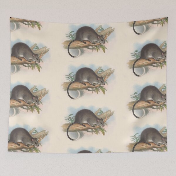 Item preview, Tree rat illustration Australian animals series designed and sold by Vintage Designs +.
