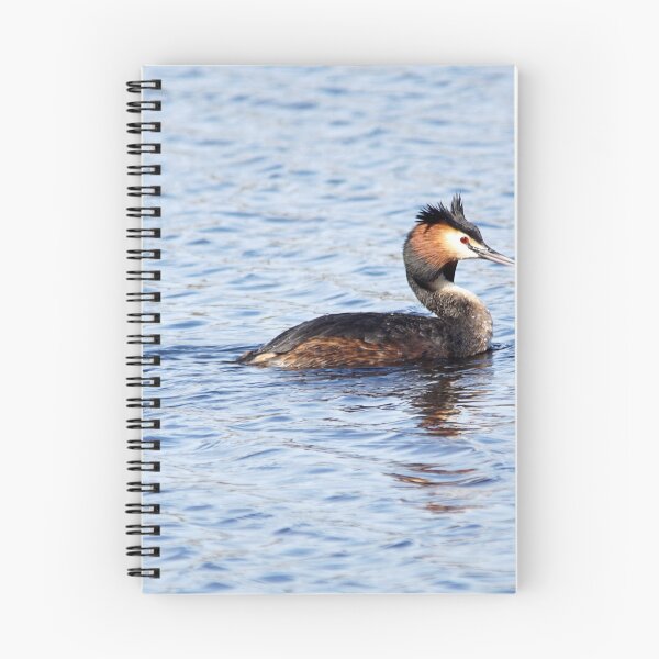 Item preview, Great Crested Grebe designed and sold by MendipBlue.