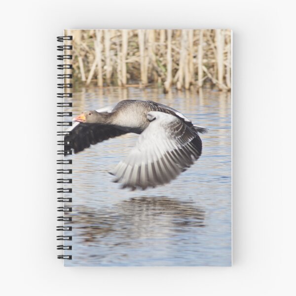 Item preview, Greylag Goose designed and sold by MendipBlue.