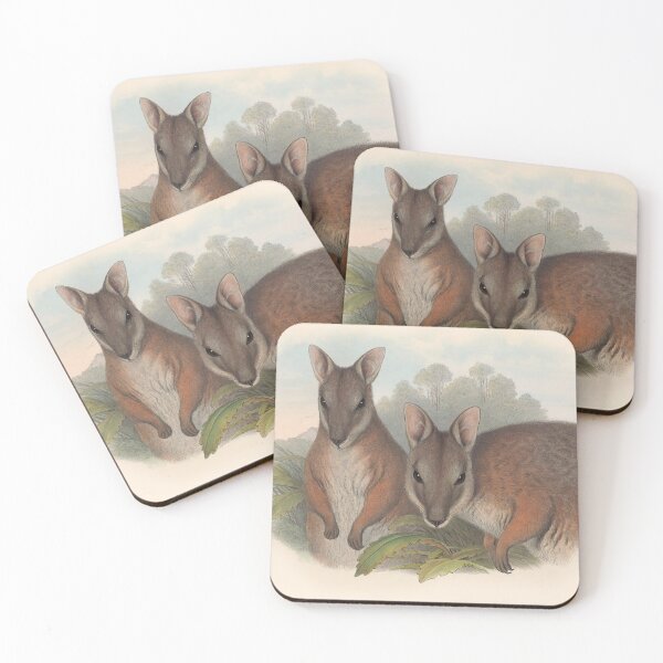 Item preview, Kangaroos illustration Australian animals series designed and sold by Vintage Designs +.