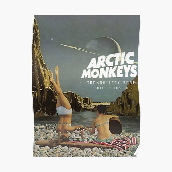 dos monos Póster