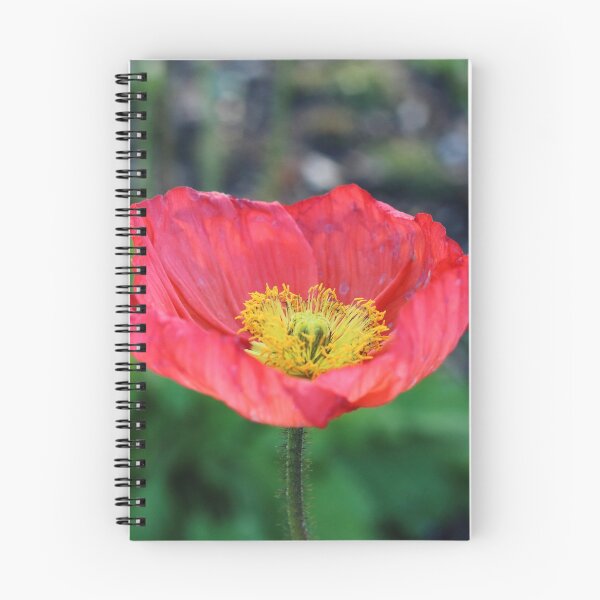 Item preview, The prettiest flower designed and sold by Olivia Plasencia.
