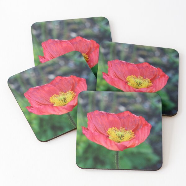 Item preview, The prettiest flower designed and sold by Olivia Plasencia.