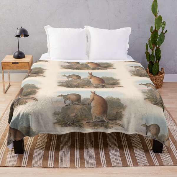 Item preview, Kangaroos illustration Australian animals series designed and sold by Vintage Designs +.