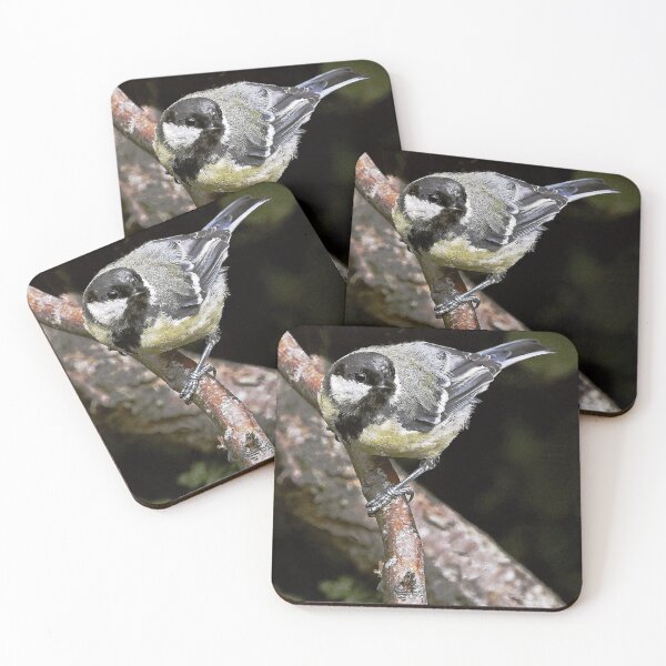 Item preview, r1449/ new finition 2021 Mésange charbonniére  -  7 t (c)(h) by Olao-Olavia / Okaio Créations designed and sold by o.okaïo.