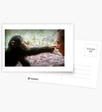 jane goodall Postcards