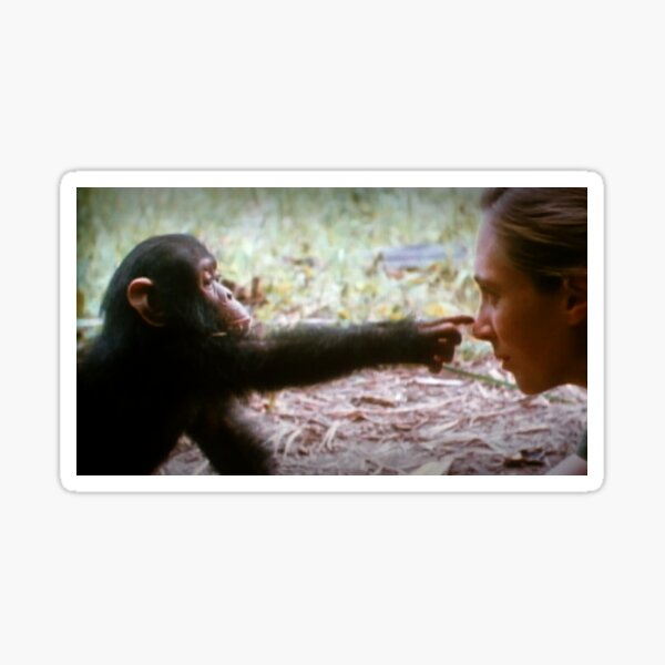 Item preview, jane goodall designed and sold by cutler17.