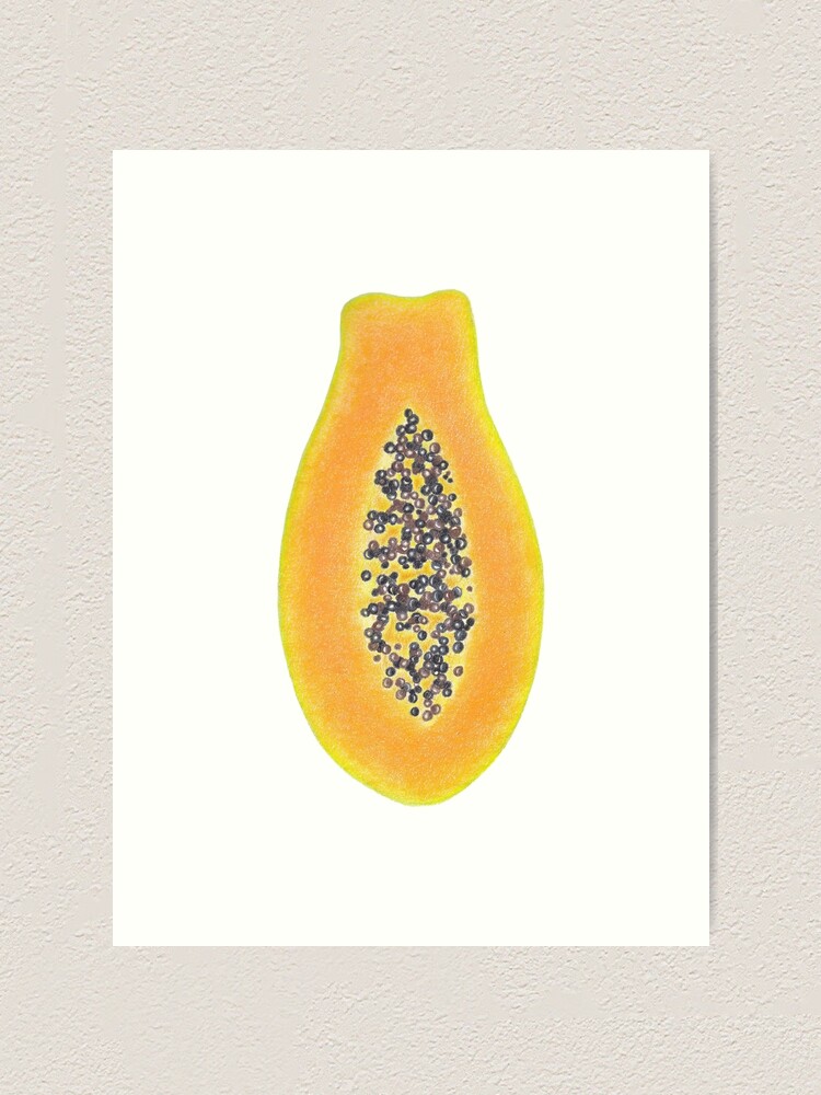 Papaya vector drawing. Hand drawn tropical fruit illustration. Stock Vector  | Adobe Stock