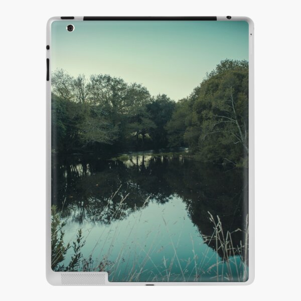 Moody green river iPad Skin