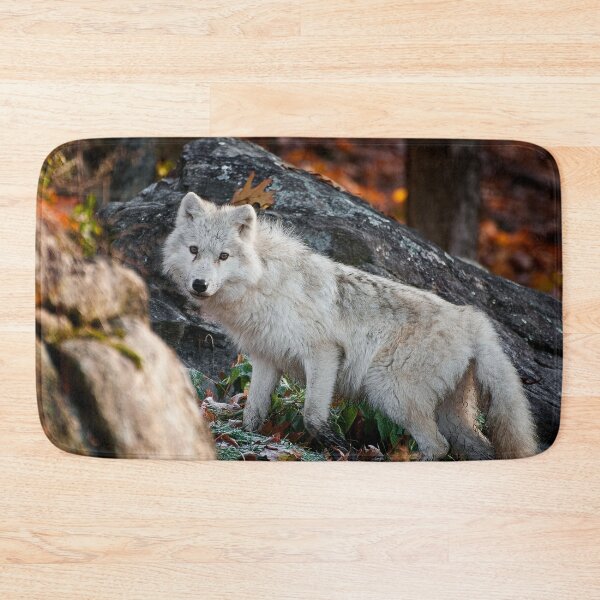 Item preview, Arctic Wolf designed and sold by Michael Cummings.