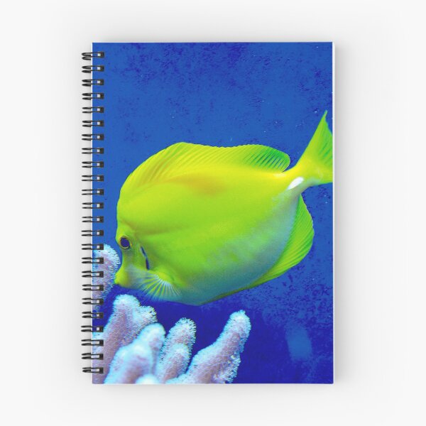 Item preview, Yellow fish (Photo: Sabine Braun) designed and sold by AmilysFriends.