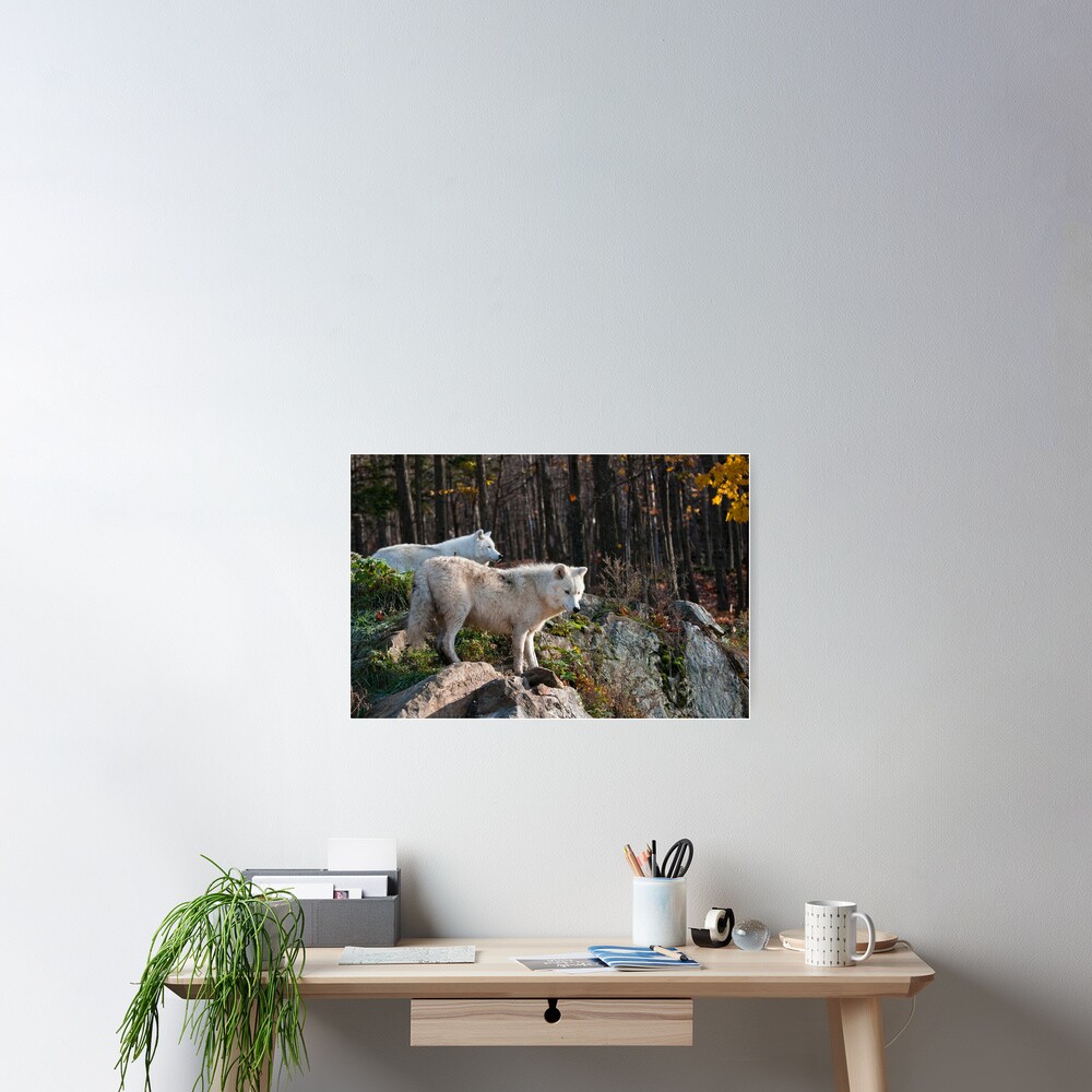 Item preview, Poster designed and sold by jaydee1400.