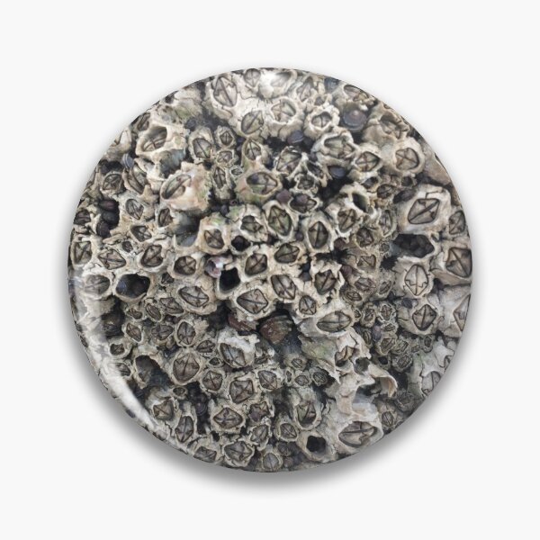Item preview, Barnacles  designed and sold by svencarr.