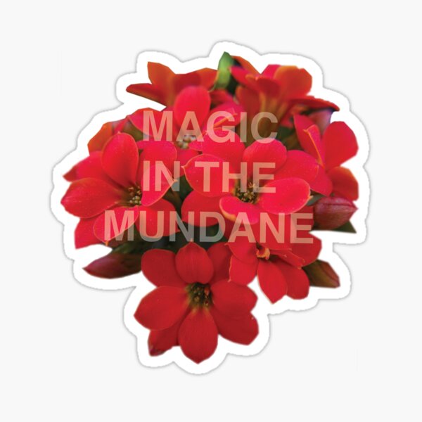 Magic in the Mundane Sticker