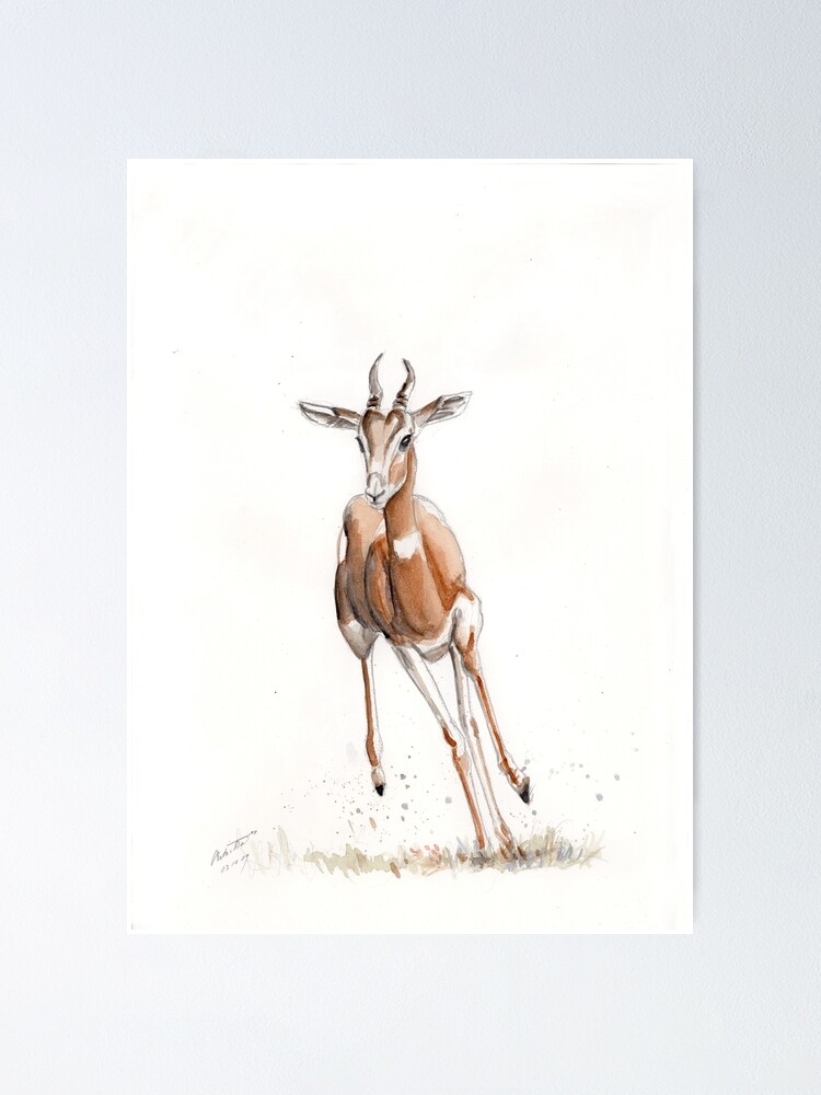 Running Mhorr Gazelle Poster By Antonvandort Redbubble