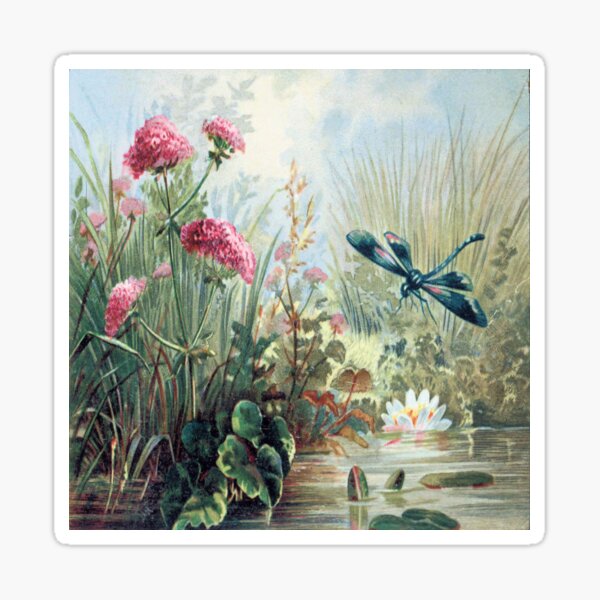 Magical Gifts Dragonfly Wall Art Dragonfly Art Magnolia Flowers Magick Art Dragonfly Print Dragonfly Gifts Nursery Dragonfly