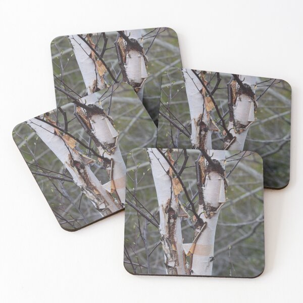 Item preview, Birch Tree designed and sold by TripleMoonCrafts.