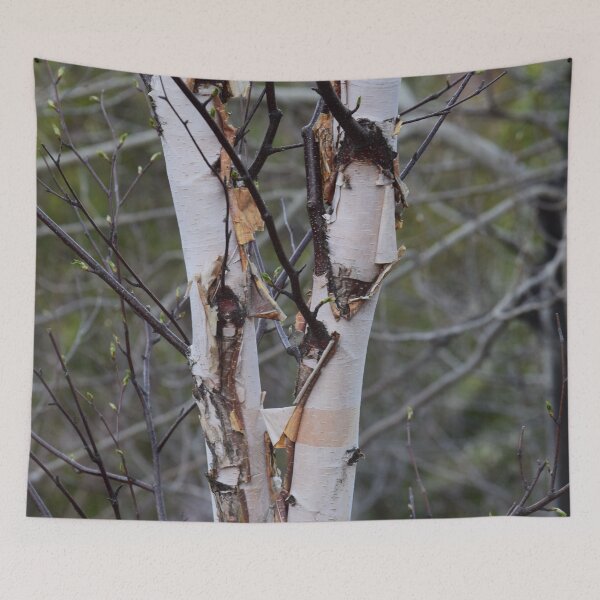 Item preview, Birch Tree designed and sold by TripleMoonCrafts.