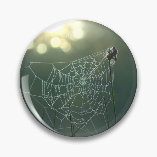 Item preview, Frosty Spiderweb at Dawn designed and sold by cjwarburton.