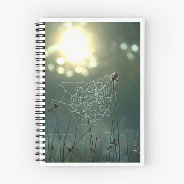 Item preview, Frosty Spiderweb at Dawn designed and sold by cjwarburton.