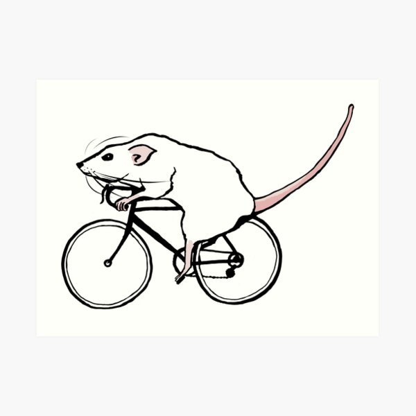 Rat Bike Art Prints | Redbubble