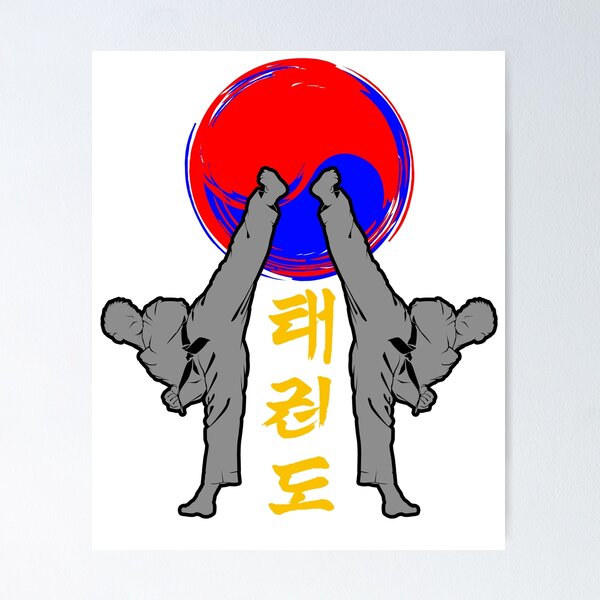 Fighting art taekwondo korean fight style kick Vector Image