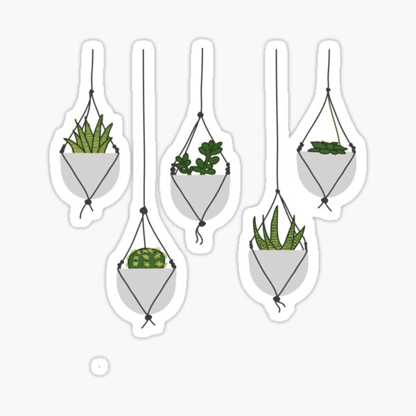 Hanging Succulents and Cacti Sticker