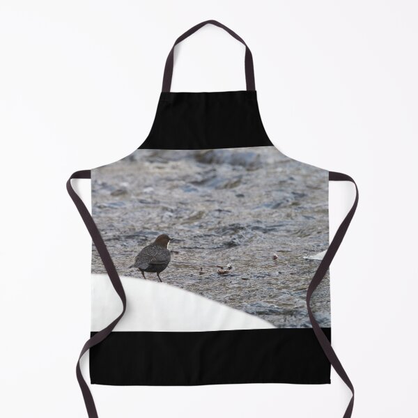 Item preview, On the edge. White-throated dipper designed and sold by Jouko Lehto Photography.