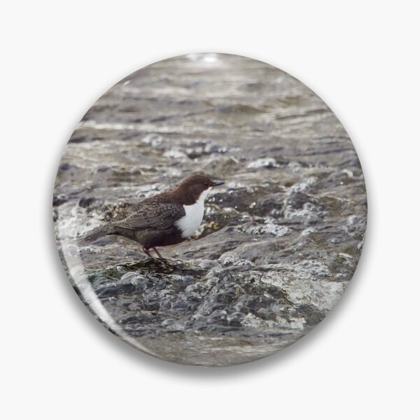 Item preview, Bubble bath. White-throated dipper designed and sold by Jouko Lehto Photography.