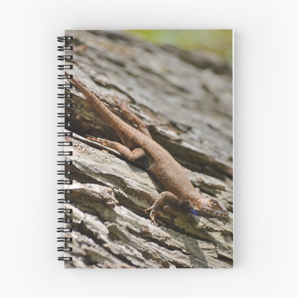 Item preview, A Lizard on a Log in the Forest on a Spring Day in Georgia designed and sold by Scott Mitchell.