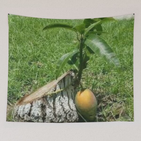 Item preview, Awesome mango tree. designed and sold by Lan thi Nguyen.