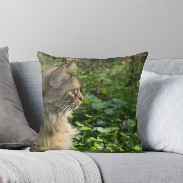 Artikelvorschau, Schildpattkatze im Gras entworfen und verkauft von KR Green.