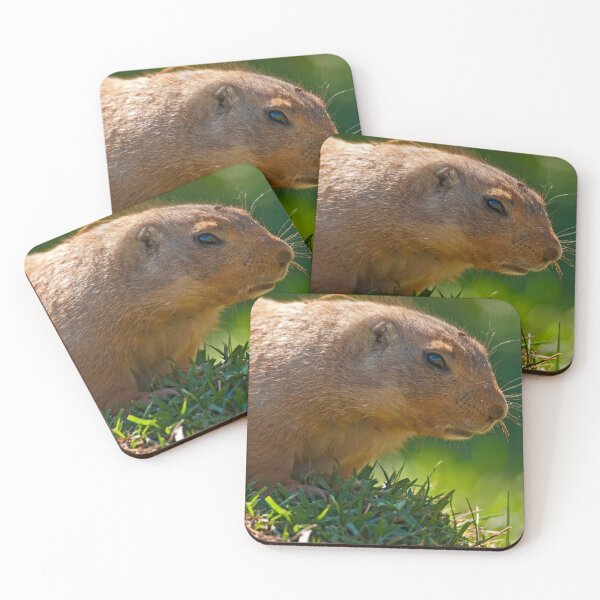 Item preview, Close up! designed and sold by Out there! Photography.