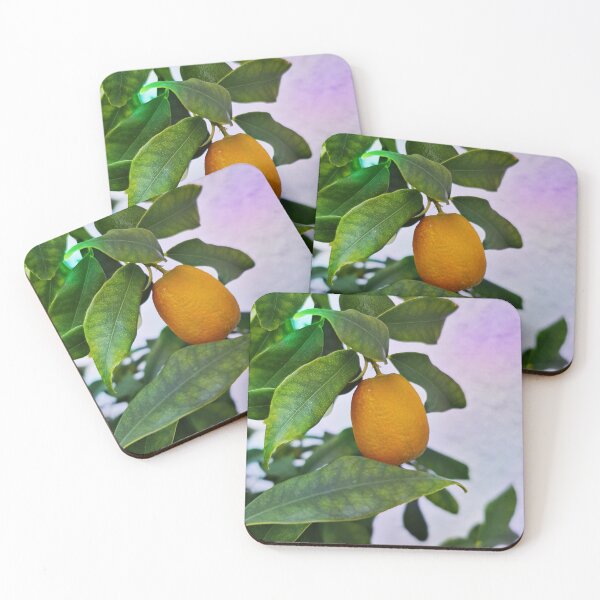 Item preview, Kumquat - Kind of citrus plant designed and sold by Victoria Riabov.
