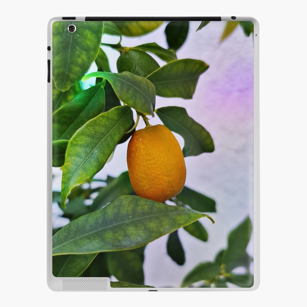 Item preview, iPad Skin designed and sold by vectormarketnet.