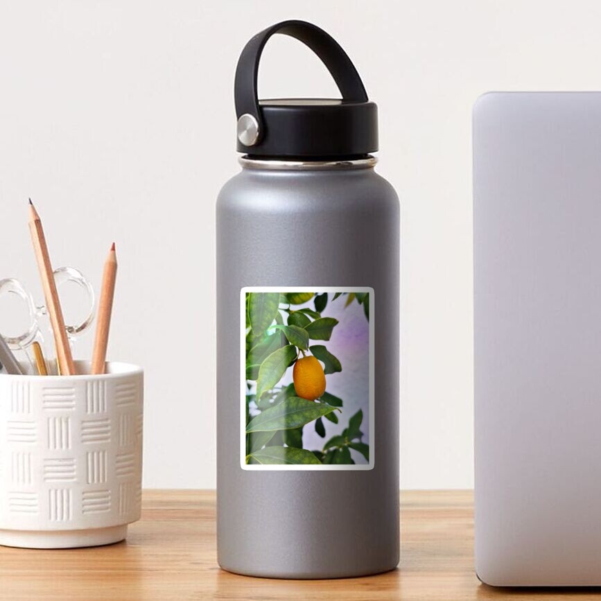 Item preview, Glossy Sticker designed and sold by vectormarketnet.