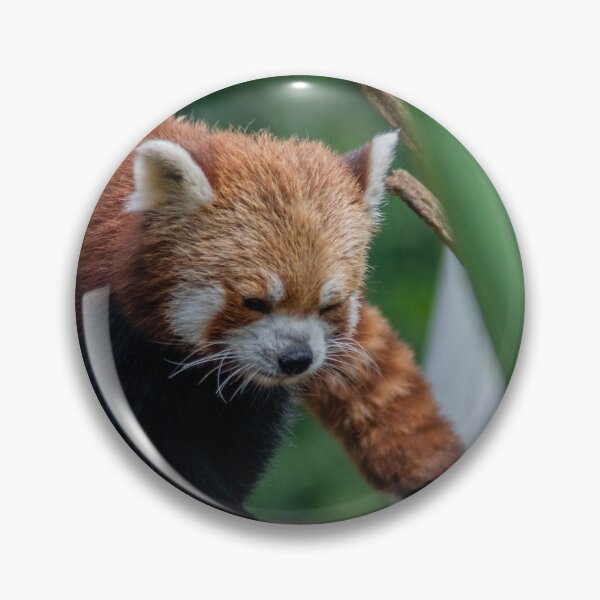 Item preview, Red Panda designed and sold by Alan Ralph.
