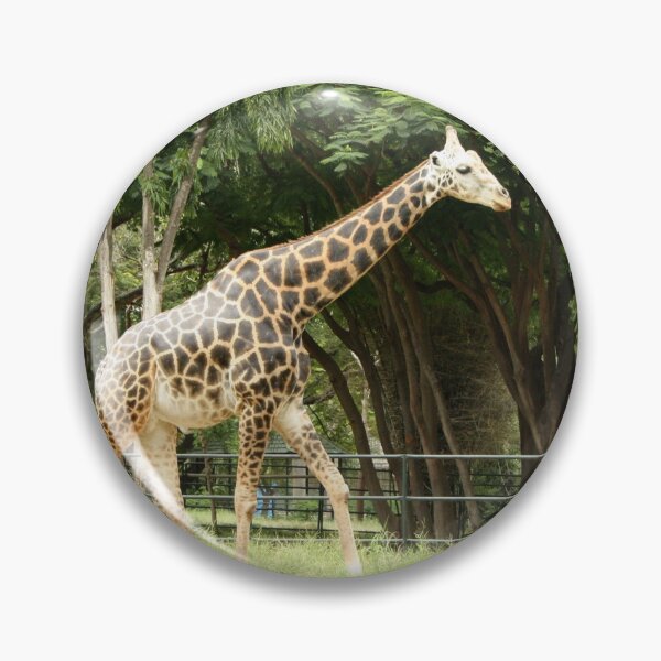Item preview, Giraffe in the wilderness designed and sold by Rangeelo.