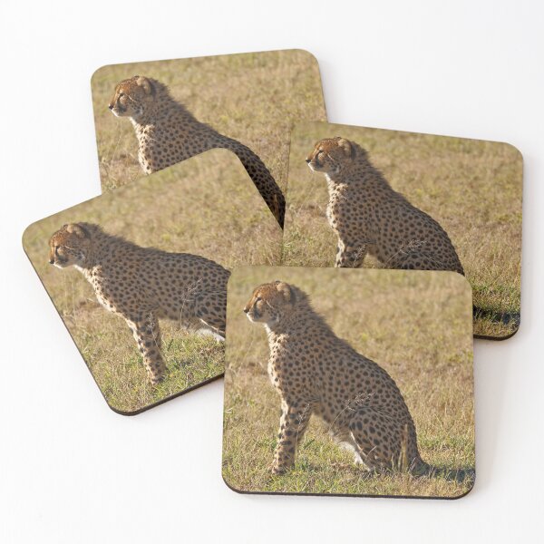 Item preview, Watching designed and sold by Out there! Photography.