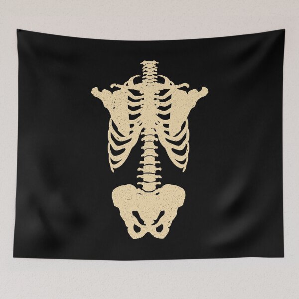 Item preview, Skeleton trunk torso anatomy posterior back dorsal designed and sold by Shirtey.