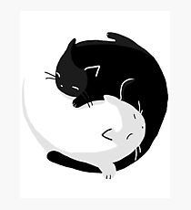Yin Yang Cats - version 2 Photographic Print