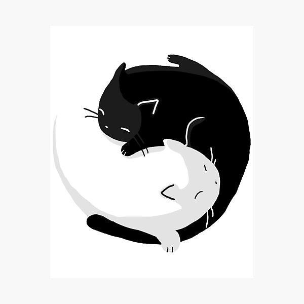 Yin Yang Cats - version 2 Photographic Print