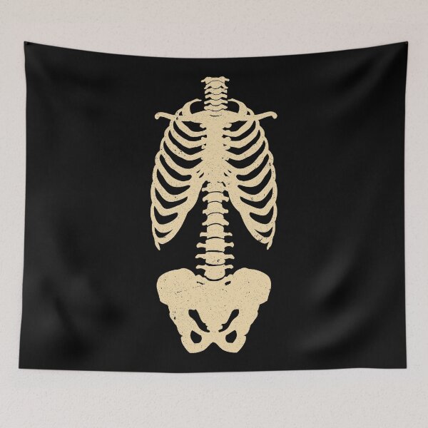 Item preview, Skeleton Trunk Torso Anatomy Front - Anterior designed and sold by Shirtey.