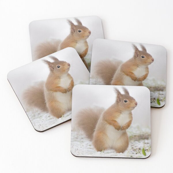 Item preview, Red Squirrel in Snow designed and sold by Macrae images.