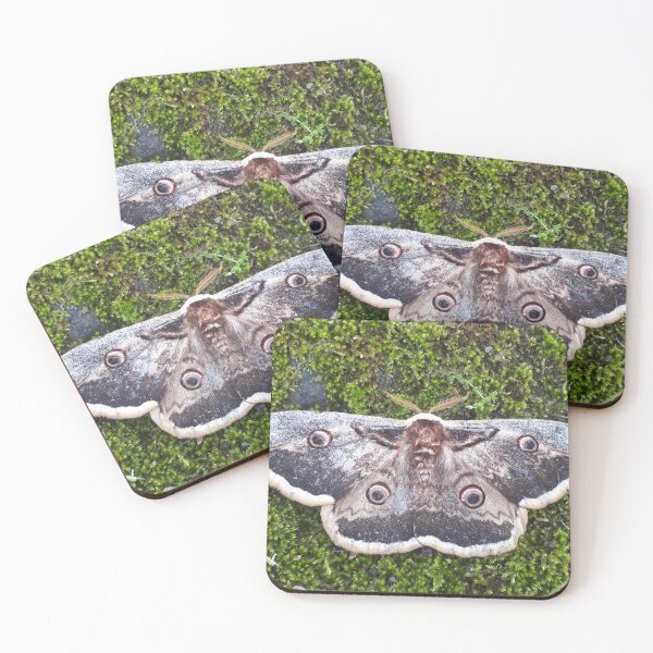 Item preview, Mossy Moth designed and sold by WildeRoseArts.