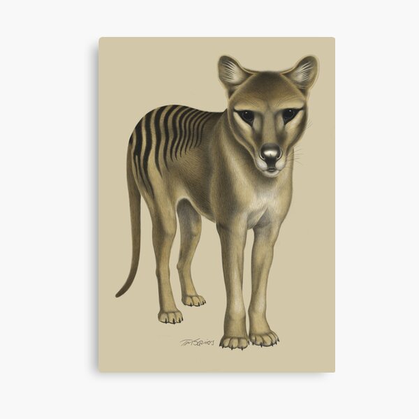 Item preview, Alert Thylacine designed and sold by Tim Squires.